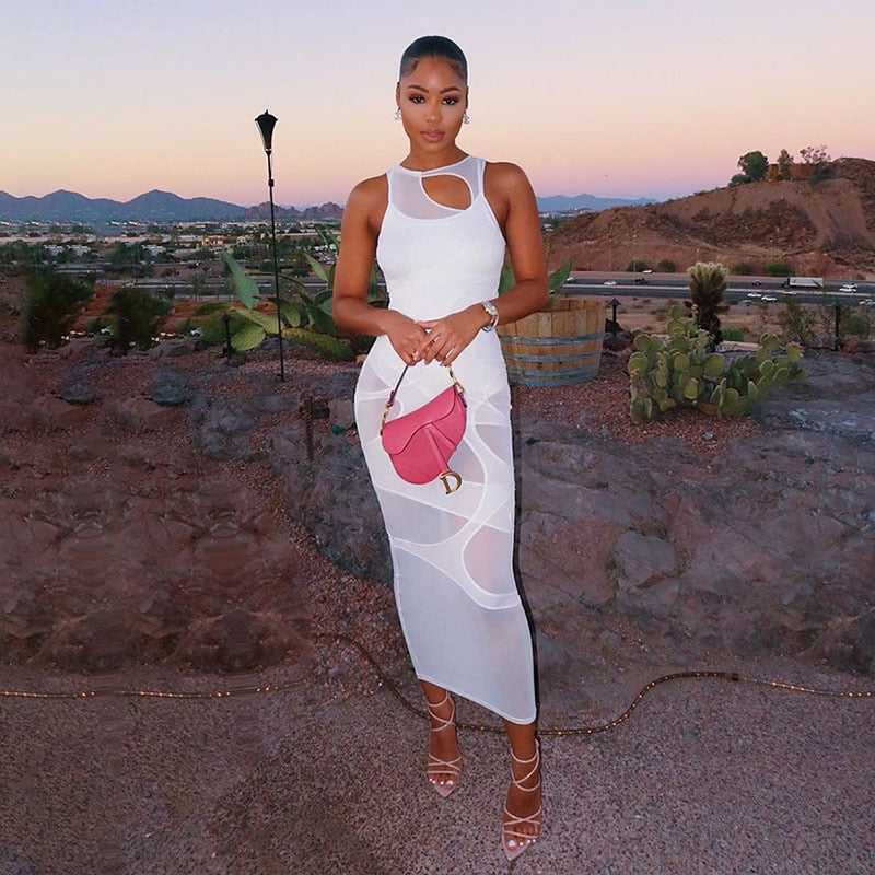 Toya Mesh Maxi Dress